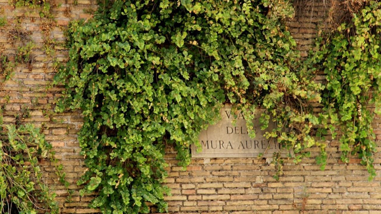 In Front Of The Vatican Apartment Rom